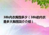 38b內(nèi)衣胸圍多少（38b的內(nèi)衣是多大胸圍簡(jiǎn)介介紹）