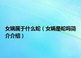 女?huà)z屬于什么蛇（女?huà)z是蛇嗎簡(jiǎn)介介紹）