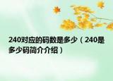 240對應的碼數(shù)是多少（240是多少碼簡介介紹）
