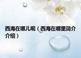西海在哪兒呢（西海在哪里簡介介紹）