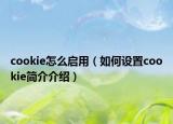 cookie怎么啟用（如何設(shè)置cookie簡(jiǎn)介介紹）