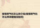 櫻雪燃?xì)庠钤趺礃咏榻B(櫻雪燃?xì)庠钤趺礃釉敿?xì)情況如何)