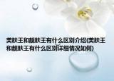 美膚王和靚膚王有什么區(qū)別介紹(美膚王和靚膚王有什么區(qū)別詳細(xì)情況如何)