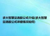 求大智慧量選股公式介紹(求大智慧量選股公式詳細情況如何)