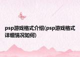 psp游戲格式介紹(psp游戲格式詳細(xì)情況如何)