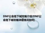 DNF公會(huì)地下城攻略介紹(DNF公會(huì)地下城攻略詳細(xì)情況如何)