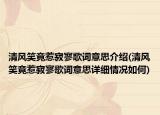 清風笑竟惹寂寥歌詞意思介紹(清風笑竟惹寂寥歌詞意思詳細情況如何)