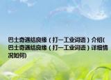 巴士奇遇結(jié)良緣（打一工業(yè)詞語）介紹(巴士奇遇結(jié)良緣（打一工業(yè)詞語）詳細情況如何)