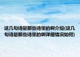 這幾句詩是那些詩里的啊介紹(這幾句詩是那些詩里的啊詳細(xì)情況如何)