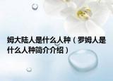 姆大陸人是什么人種（羅姆人是什么人種簡介介紹）