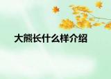 大熊長什么樣介紹