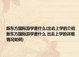 新東方國際游學是什么(出去上學的介紹 新東方國際游學是什么 出去上學的詳細情況如何)