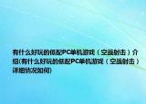 有什么好玩的低配PC單機(jī)游戲（空戰(zhàn)射擊）介紹(有什么好玩的低配PC單機(jī)游戲（空戰(zhàn)射擊）詳細(xì)情況如何)