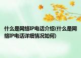 什么是網(wǎng)絡(luò)IP電話介紹(什么是網(wǎng)絡(luò)IP電話詳細(xì)情況如何)