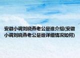 安徽小調(diào)劉曉燕老公是誰介紹(安徽小調(diào)劉曉燕老公是誰詳細情況如何)