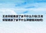 王者榮耀退游了該干什么介紹(王者榮耀退游了該干什么詳細情況如何)