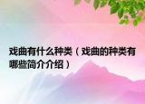 戲曲有什么種類（戲曲的種類有哪些簡介介紹）