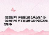 《魔獸世界》懷舊服玩什么職業(yè)好介紹(《魔獸世界》懷舊服玩什么職業(yè)好詳細(xì)情況如何)