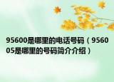 95600是哪里的電話號碼（956005是哪里的號碼簡介介紹）