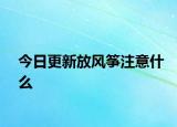 今日更新放風箏注意什么