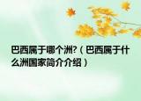 巴西屬于哪個(gè)洲?（巴西屬于什么洲國(guó)家簡(jiǎn)介介紹）