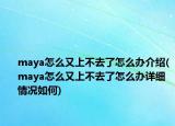 maya怎么又上不去了怎么辦介紹(maya怎么又上不去了怎么辦詳細(xì)情況如何)