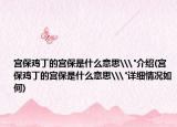 宮保雞丁的宮保是什么意思\