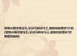 寵物小精靈綠寶石,呆河馬和河馬王,誰的技能更好?介紹(寵物小精靈綠寶石,呆河馬和河馬王,誰的技能更好?詳細(xì)情況如何)