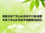 用夏天來了怎么補充句子介紹(用夏天來了怎么補充句子詳細情況如何)