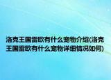 洛克王國(guó)雷歐有什么寵物介紹(洛克王國(guó)雷歐有什么寵物詳細(xì)情況如何)