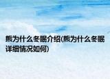 熊為什么冬眠介紹(熊為什么冬眠詳細(xì)情況如何)