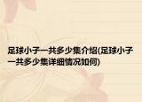 足球小子一共多少集介紹(足球小子一共多少集詳細(xì)情況如何)