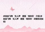 求自由飛翔‘無人聲’原版‘純伴奏’介紹(求自由飛翔‘無人聲’原版‘純伴奏’詳細情況如何)