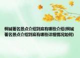 桐城著名景點介紹到底有哪些介紹(桐城著名景點介紹到底有哪些詳細情況如何)