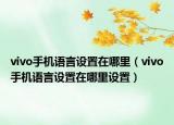 vivo手機(jī)語言設(shè)置在哪里（vivo手機(jī)語言設(shè)置在哪里設(shè)置）