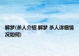 解夢(殺人介紹 解夢 殺人詳細情況如何)