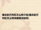 重慶的萬州區(qū)怎么樣介紹(重慶的萬州區(qū)怎么樣詳細(xì)情況如何)