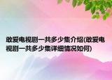敢愛電視劇一共多少集介紹(敢愛電視劇一共多少集詳細(xì)情況如何)