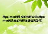 用painter畫頭發(fā)的教程介紹(用painter畫頭發(fā)的教程詳細(xì)情況如何)