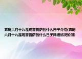 農(nóng)歷六月十九是觀音菩薩的什么日子介紹(農(nóng)歷六月十九是觀音菩薩的什么日子詳細情況如何)