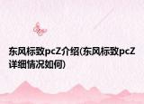 東風(fēng)標(biāo)致pcZ介紹(東風(fēng)標(biāo)致pcZ詳細(xì)情況如何)