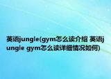 英語jungle(gym怎么讀介紹 英語jungle gym怎么讀詳細情況如何)