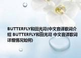 BUTTERFLY和田光司(中文音譯歌詞介紹 BUTTERFLY和田光司 中文音譯歌詞詳細(xì)情況如何)