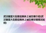 武漢雄楚大街紫菘楓林上城在哪介紹(武漢雄楚大街紫菘楓林上城在哪詳細(xì)情況如何)