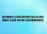 阿拉善是什么意思(阿拉善介紹介紹 阿拉善是什么意思 阿拉善介紹詳細情況如何)