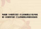 電視劇《冰糖燉雪梨》什么時候播出介紹(電視劇《冰糖燉雪梨》什么時候播出詳細情況如何)