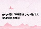 gaga是什么梗介紹 gaga是什么梗詳細(xì)情況如何