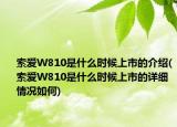 索愛W810是什么時候上市的介紹(索愛W810是什么時候上市的詳細情況如何)