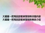 大猩猩一把甩回游客掉落拖鞋詳細(xì)內(nèi)容 大猩猩一把甩回游客掉落拖鞋具體介紹