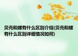 貝殼和螺有什么區(qū)別介紹(貝殼和螺有什么區(qū)別詳細(xì)情況如何)